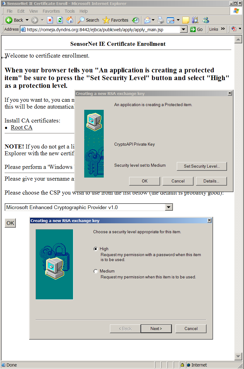 Saving a new certificate in Internet Explorer